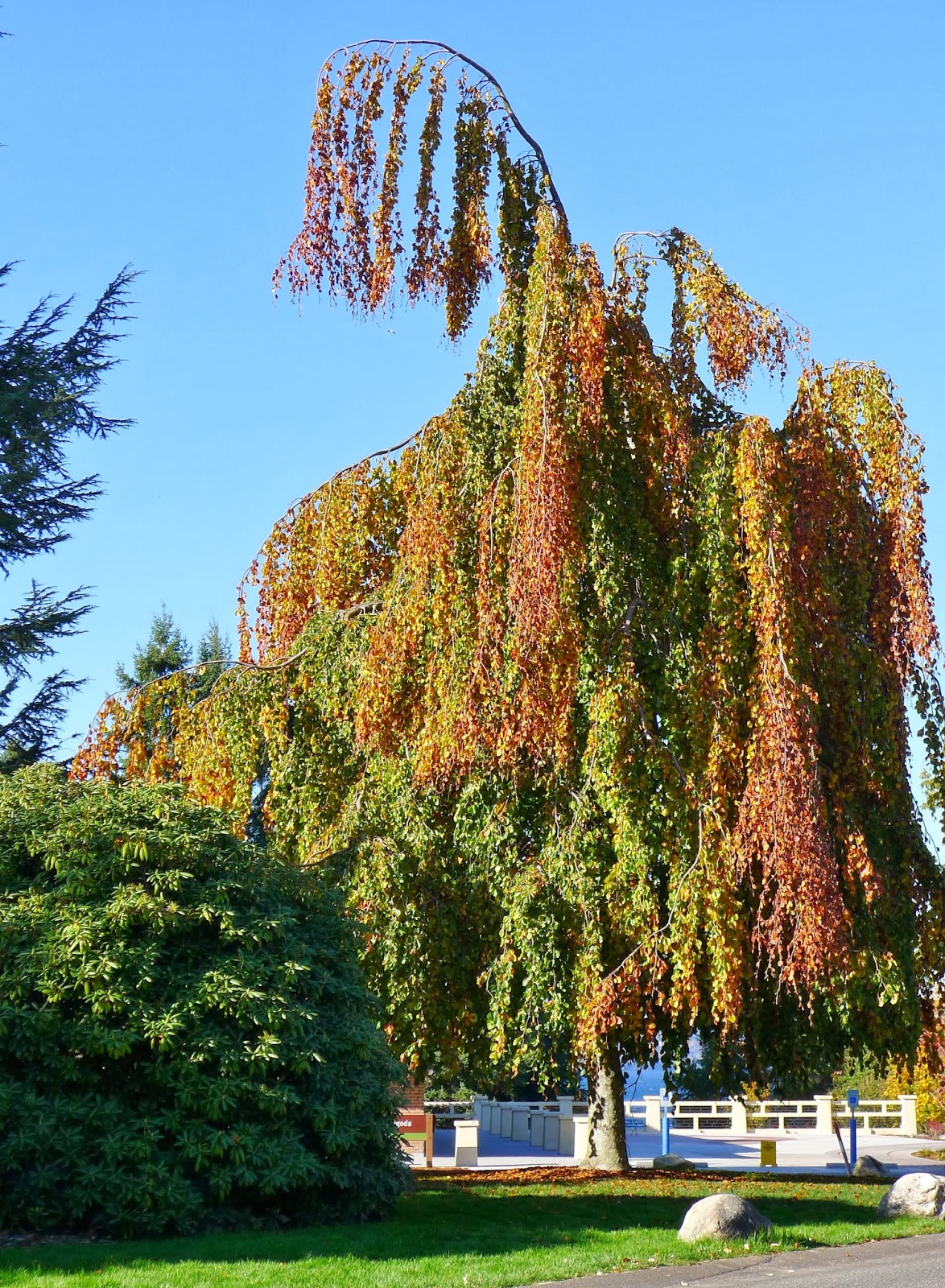 Good Life Northwest: Happy November - Photo Tour of Point Defiance Park