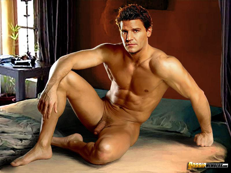 DAVID BOREANAZ.