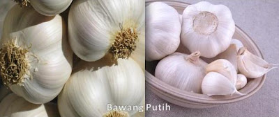 Gambar Bawang Putih