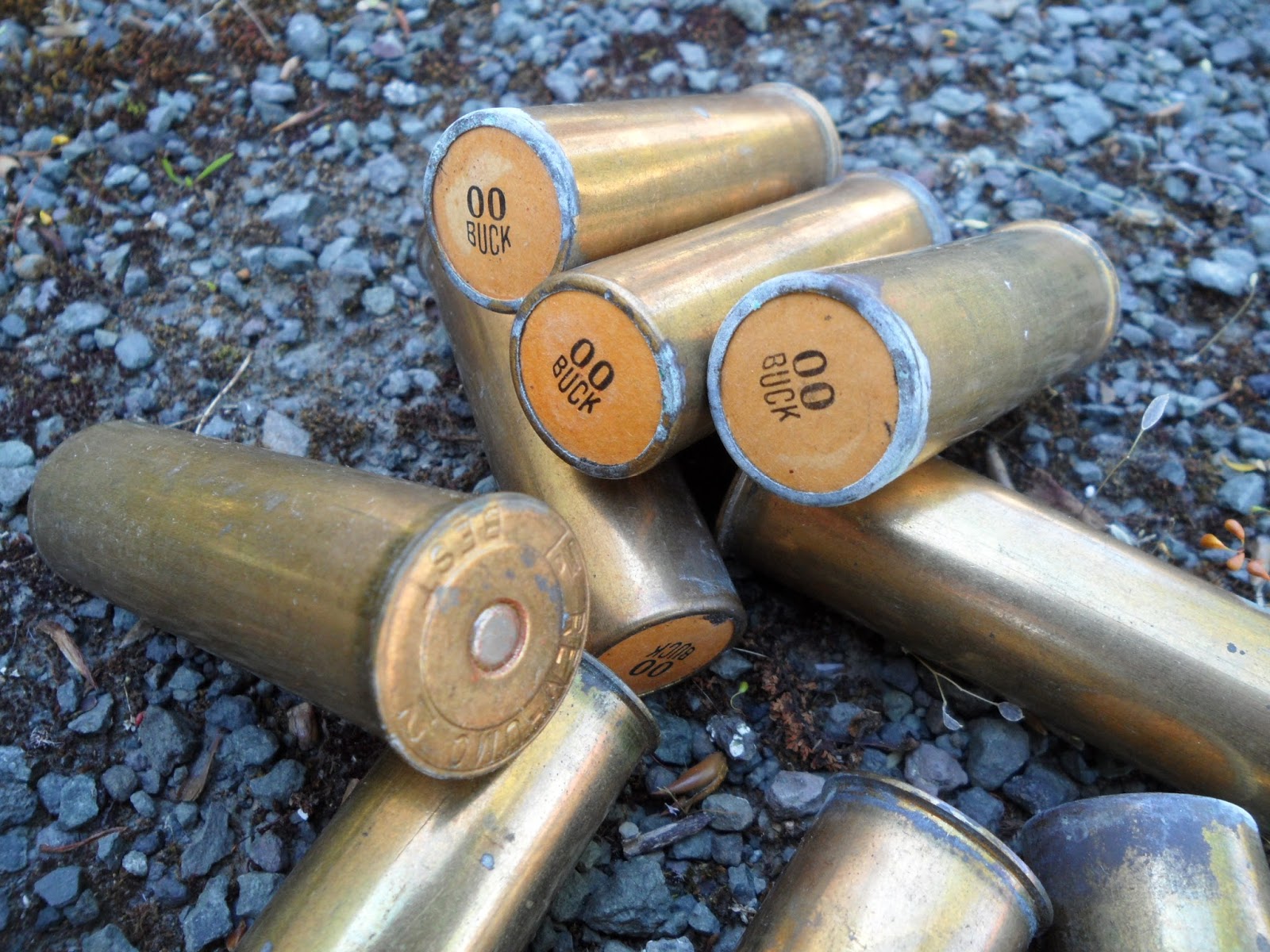 12 Gauge Shotgun Shells | My XXX Hot Girl