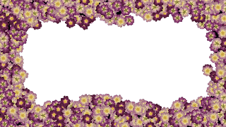 10 flores FHD png
