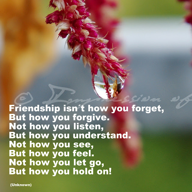 Friendship isn´t how you forget, but how you forgive. Not how you listen, but how you understand. Not how you see, but how you feel. Not how you let go, but how you hold on! - Unknown