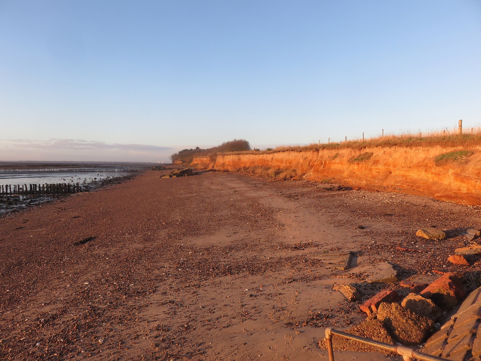 MERSEA WILDLIFE HIGH TIDE ALERT