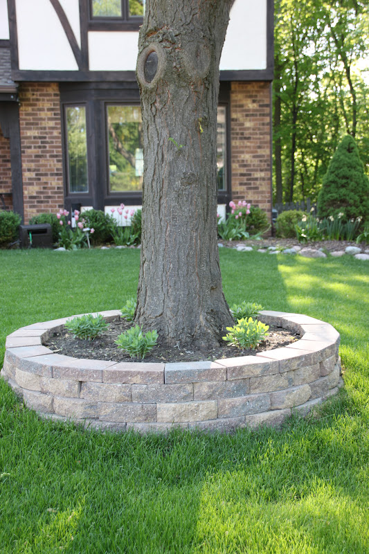 Retaining Wall Around A Tree, How To Put A Retaining Wall Around Tree