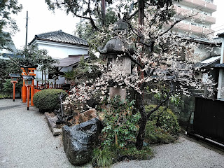 大将軍八神社：本殿裏