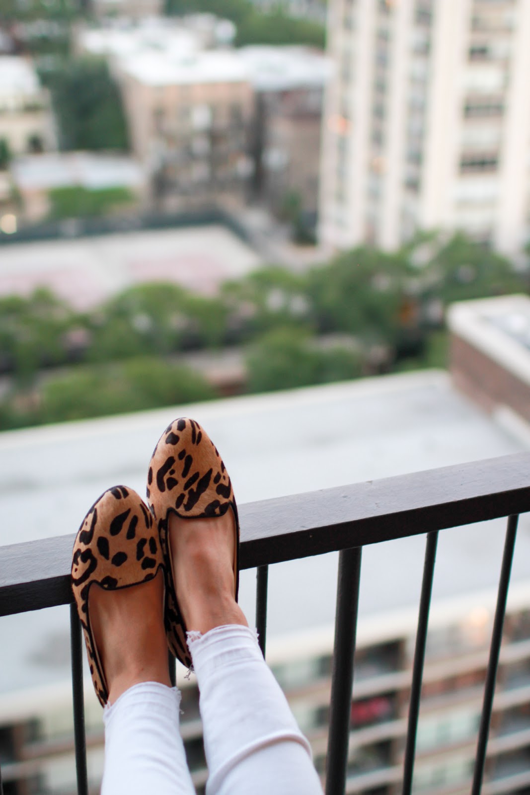 leopard house slippers