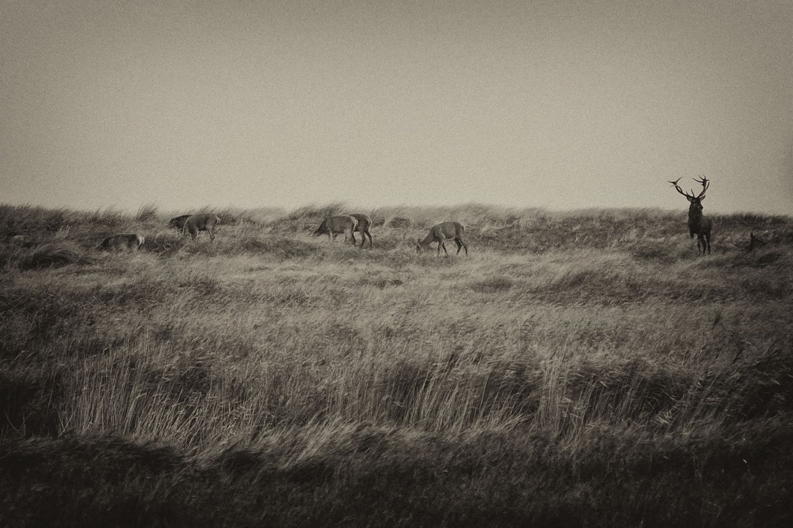 Die Schaubude Guter Stoff In Form Gebracht Reisebericht