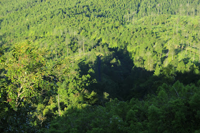 jalan aspal Telomoyo dari atas
