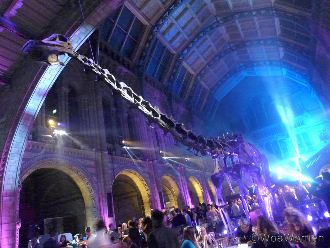 wonder wander women Christmas Party at the Natural History Museum!