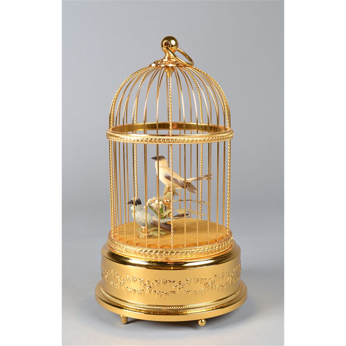 Bird In Everything Bird Cage Music Box