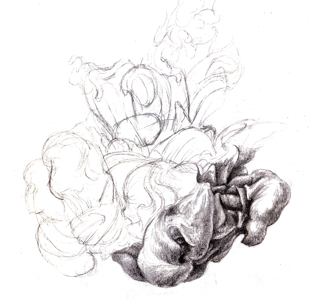 Magellin . Blog: Swirling forms