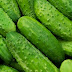 Pepino, conoce sus magnificos beneficios y propiedades para la salud
