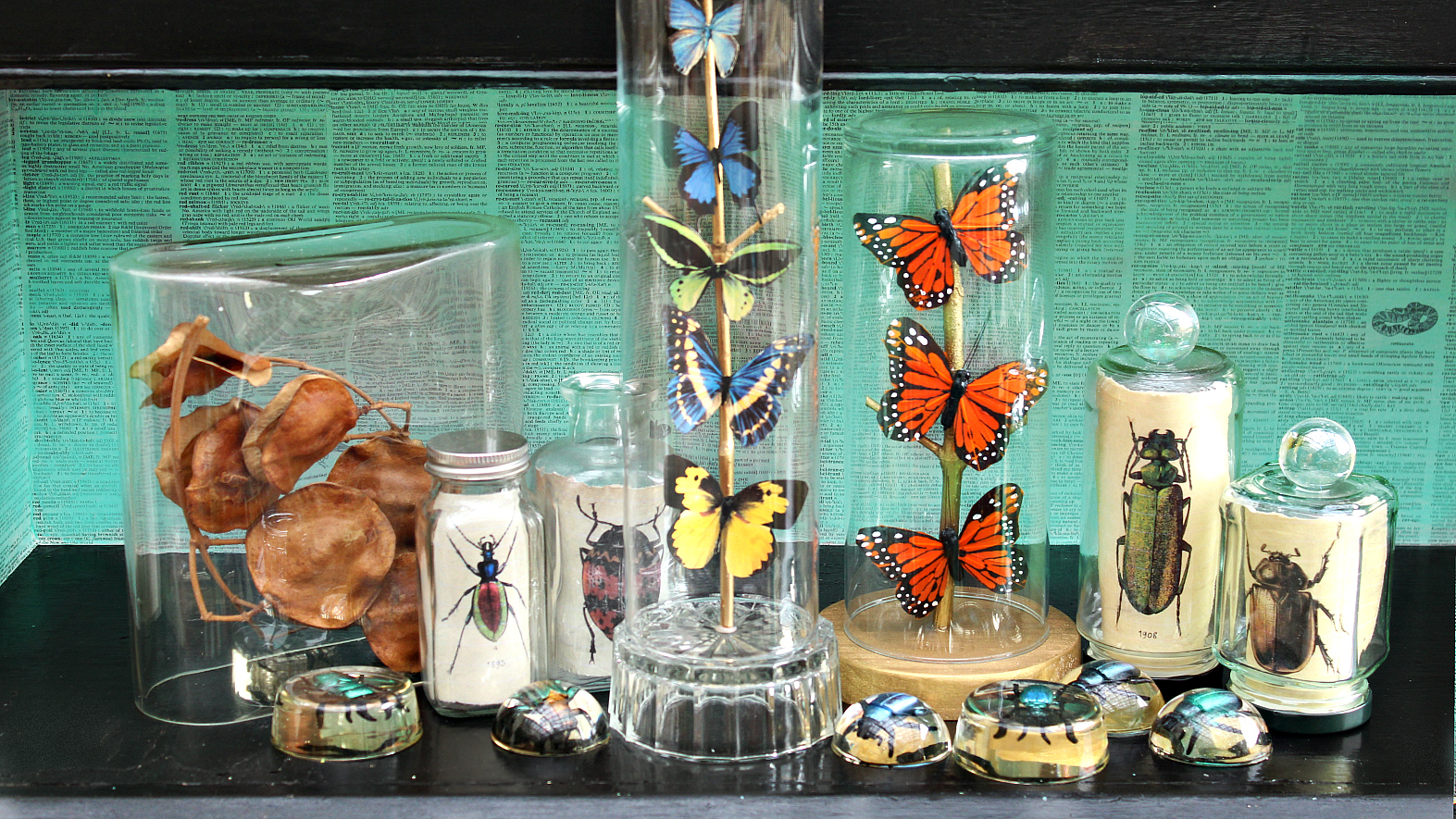 Mark Montano Birds and Butterflies Under Glass