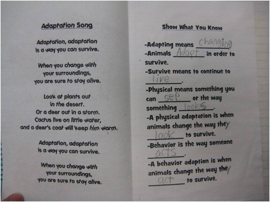 Sweet Teach: Science Notebooking: Animal Adaptations