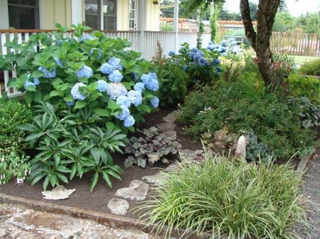 The Benefits Of Landscaping Landscaping Service