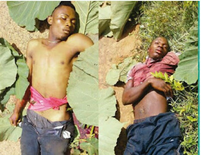 Nigerian Police Again Kills Civilians 