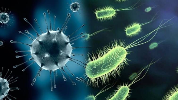 Enfermedades ocasionadas por bacterias