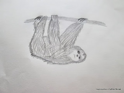 South American Sloth on the Virtual Refrigerator, an art link-up hosted by Homeschool Coffee Break @ kympossibleblog.blogspot.com