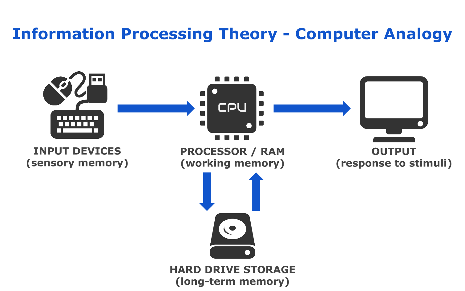 Computer process information. Information processing. Information processes. A data processing презентация. Processing примеры.