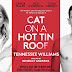 Watch Cat on a Hot Tin Roof Online | Cat on a Hot Tin Roof Watch Online