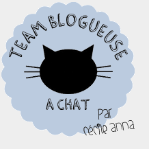 Team Blogueuse A Chat