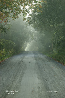 Mist on Waite's Hill Road
