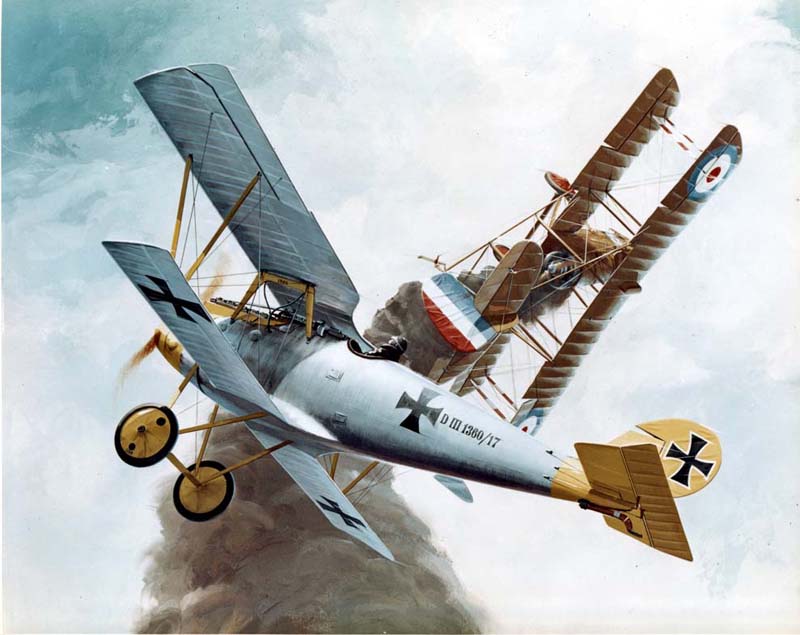 Pfalz d iii из бумаги. Pfalz d. самолёт pfalz d3. V 1:32. сименс шуккерт окраска.