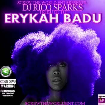 The Erykah Badu Tribute