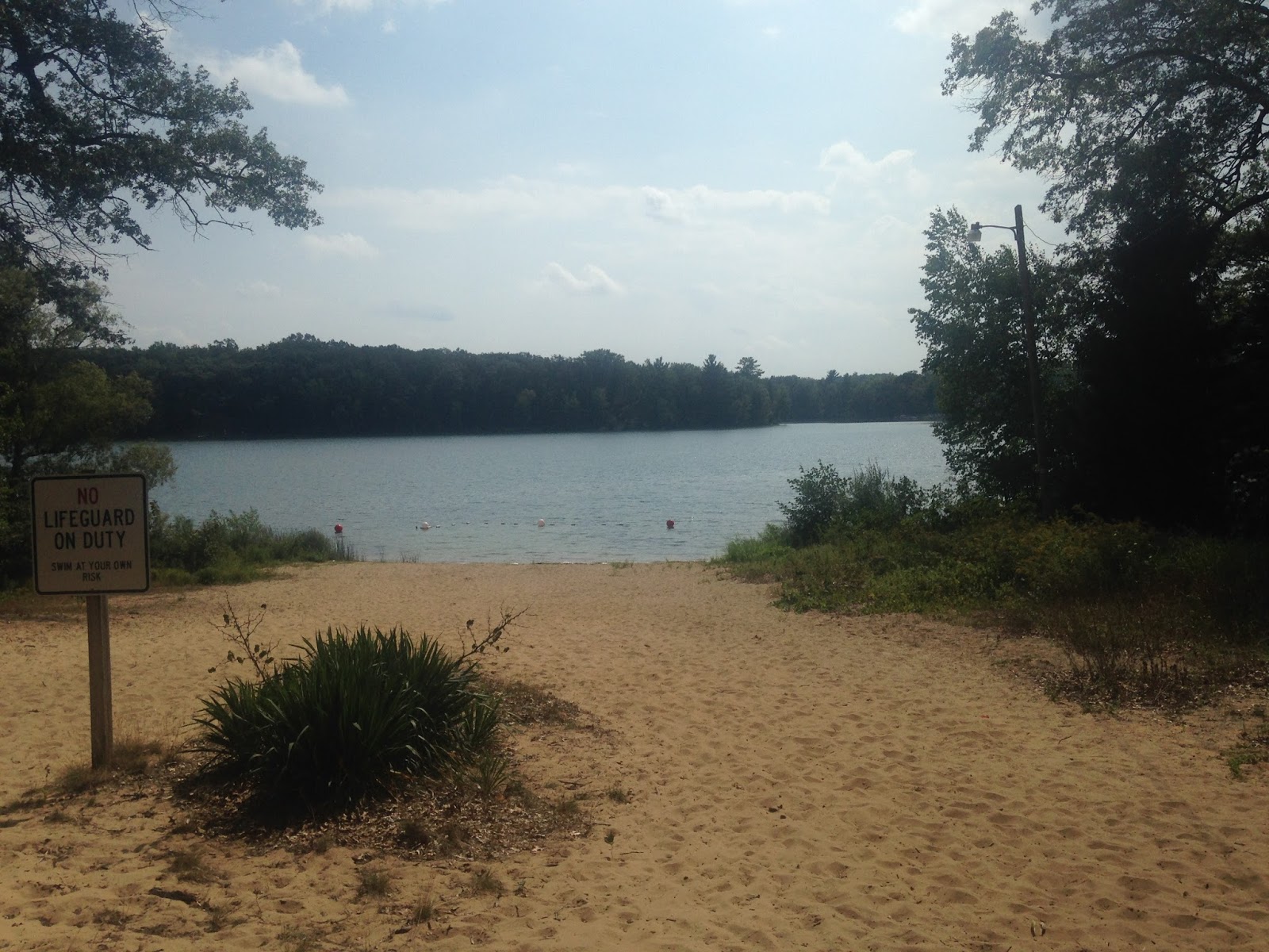 Lakes and Forests in Central Michigan