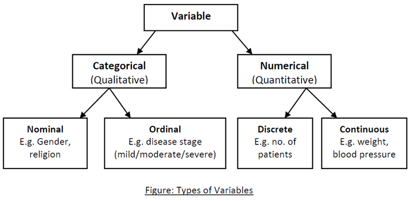 Variable на русском. Categorical variables. Types of variables. Categorical Nominal. Variable Types statistics.