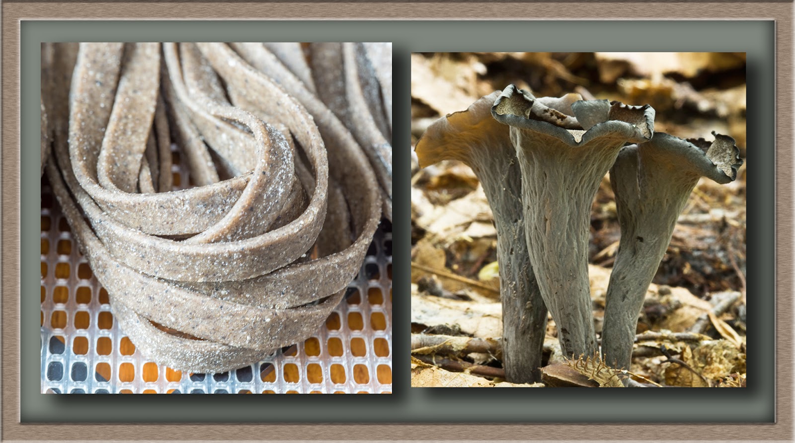 The 3 Foragers Foraging for Wild, Natural, Organic Food Black Trumpet