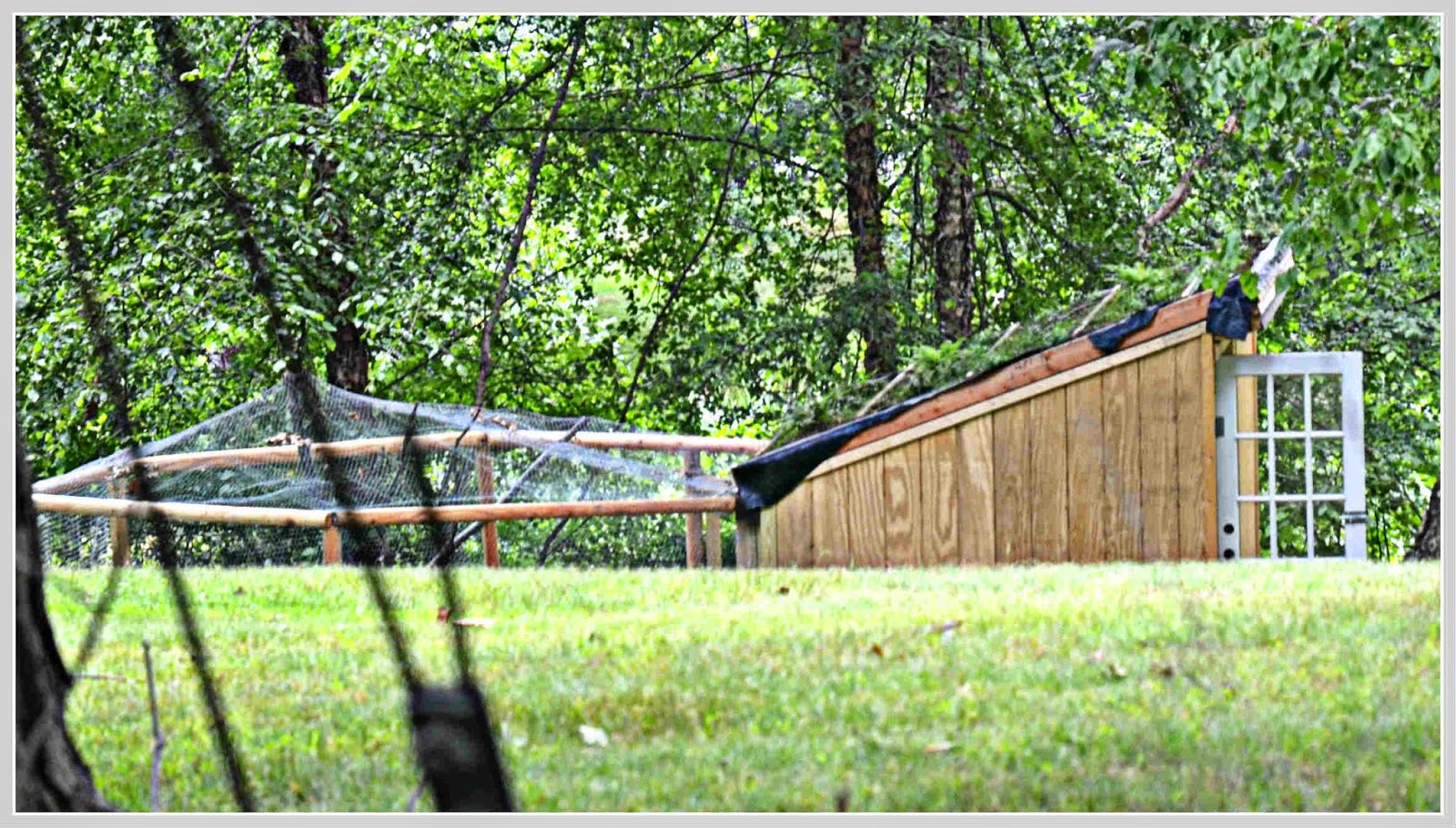 EverythingCroton ANOTHER ILLEGAL STRUCTURE ON THE GOUVEIA PROPERTY