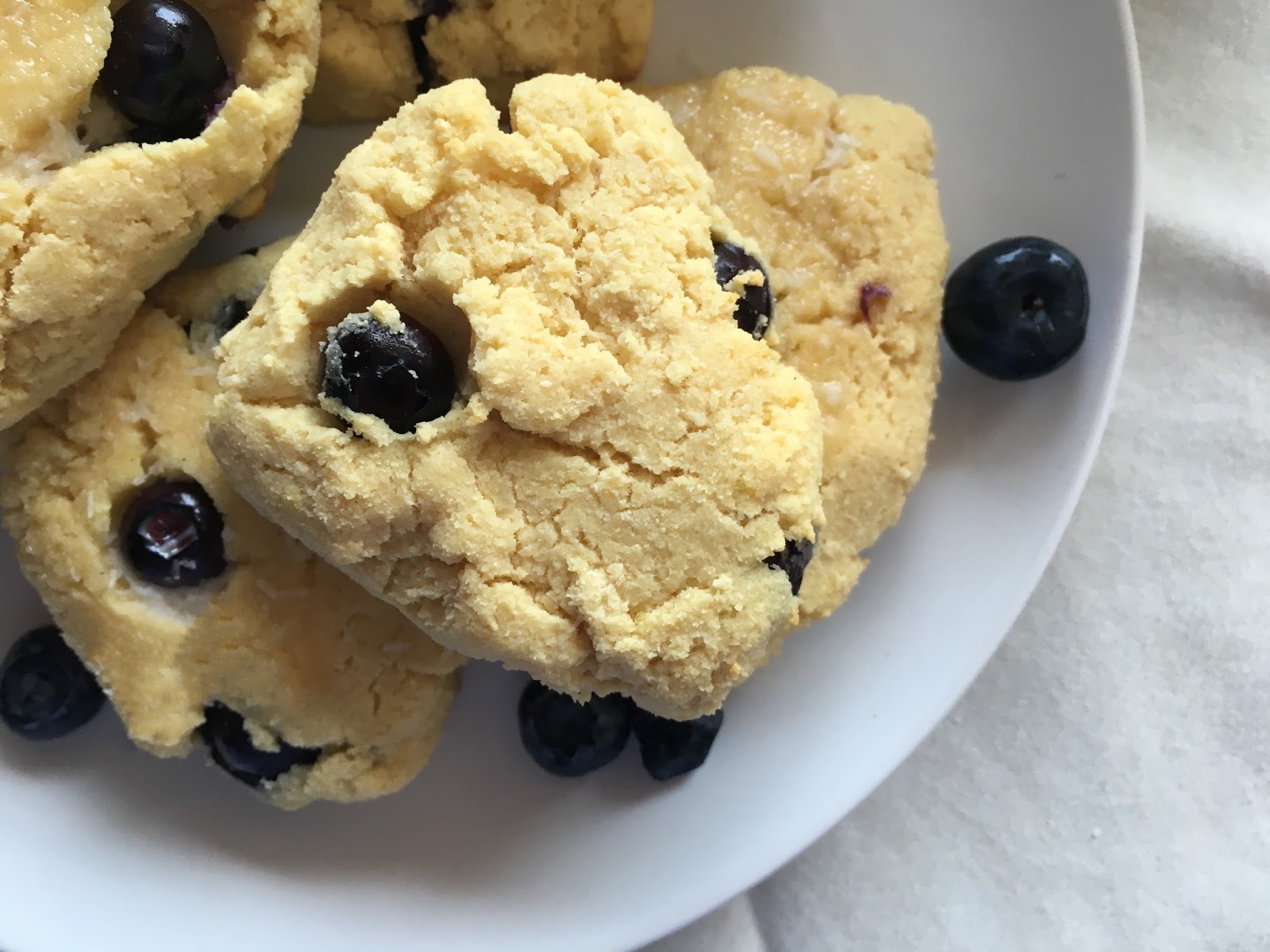 Protein Coconut Blueberry Scones Recipes The Active Habitat