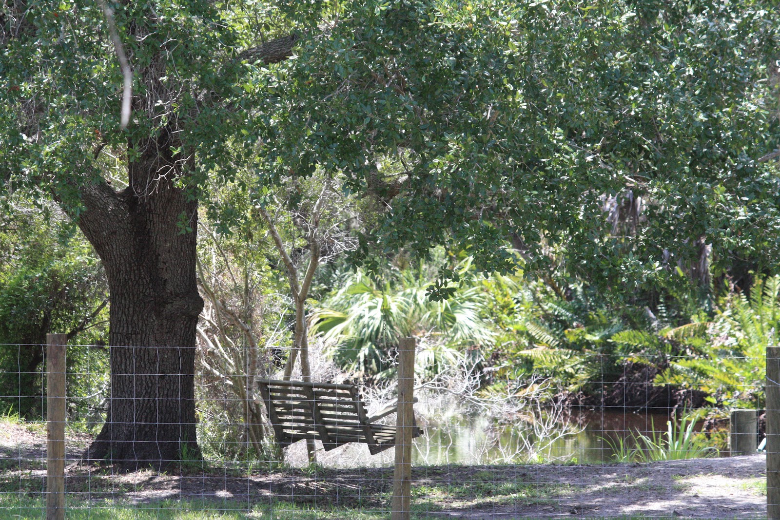 Punta Gorda Florida Daily Photo In Old Punta Gorda A Scene on a