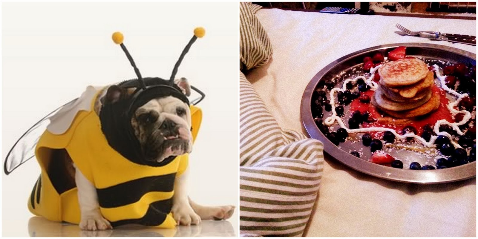 Oststadt Nachbarschaft Karlsruhe 2018