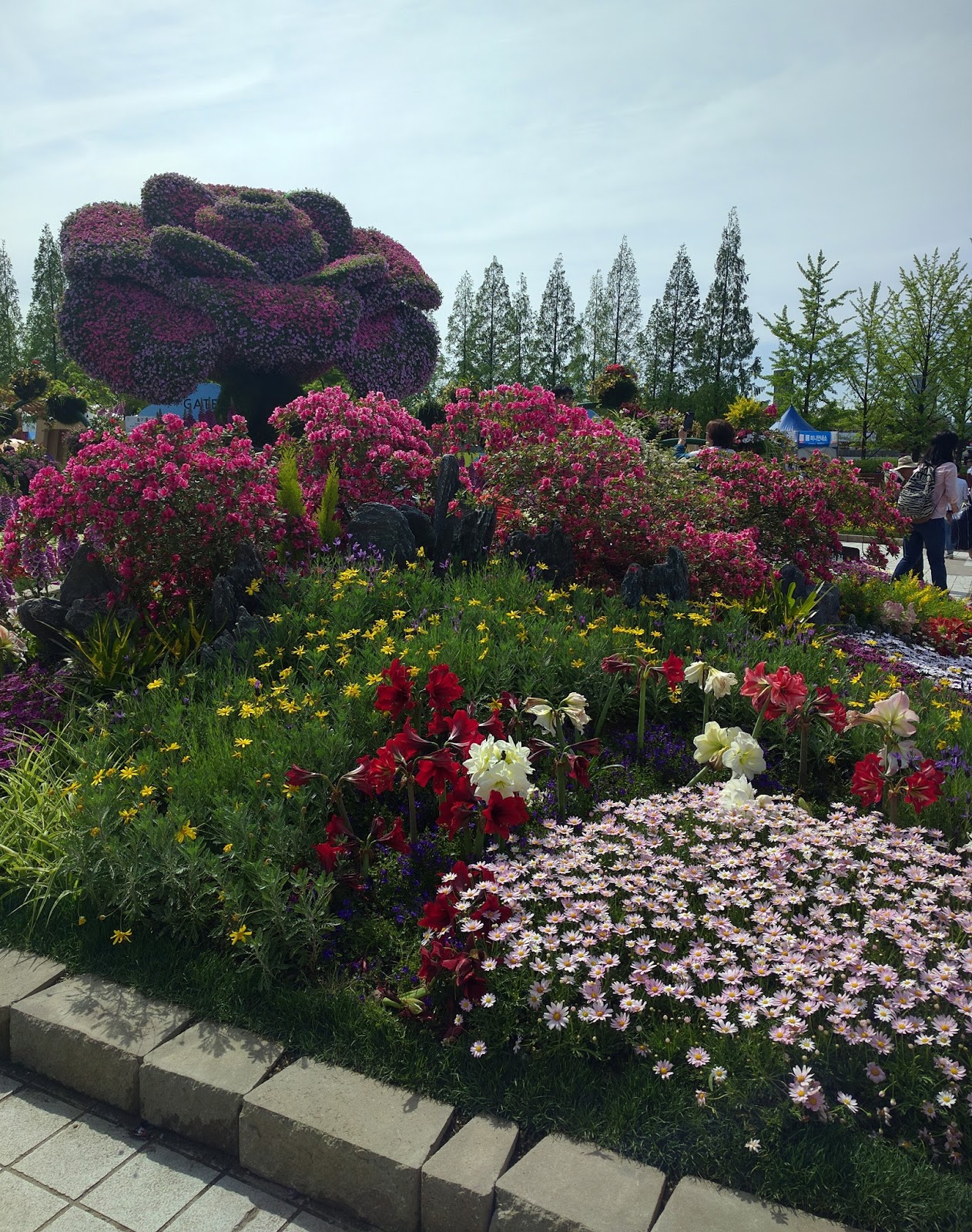 Touring Korea Goyang Flower Festival in Ilsan Lake Park