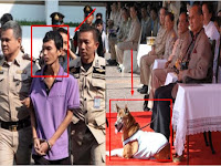 MIRIS SEKALI !!! Hanya Karena Menghina Anjing Milik Raja Thailand, Buruh ini Terancam Penjara 37 Tahun .