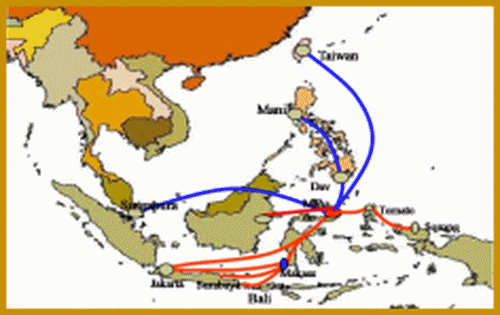 Sulawesi: Permata Khatulistiwa yang Terus Berkembang Sulawesi: Permata Khatulistiwa yang Terus Berkembang