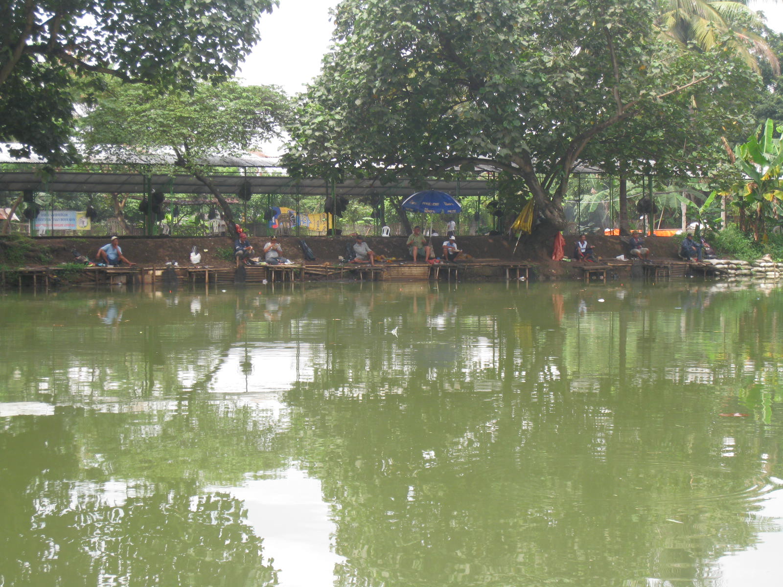 tentang mancing: MANCING HARIAN DI PEMANCINGAN SALIM BEKASI TIMUR