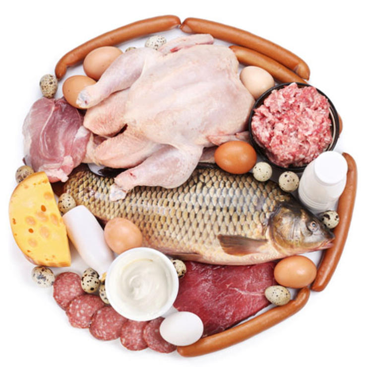 dieta pkd