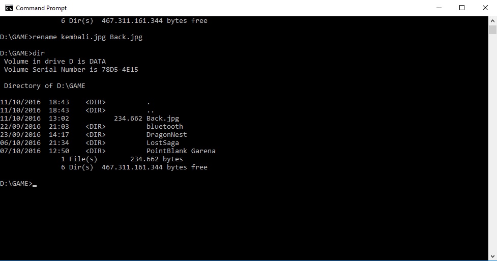 Cmd directory. категории программистов java. командная строка dir /s. старые программы в cmd. Cmd directory.
