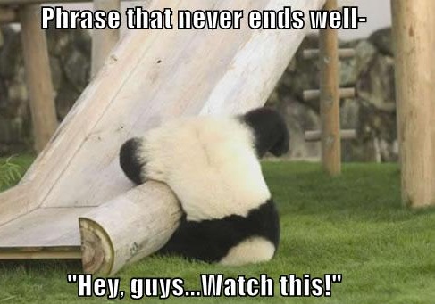 Funny Panda « Funny World