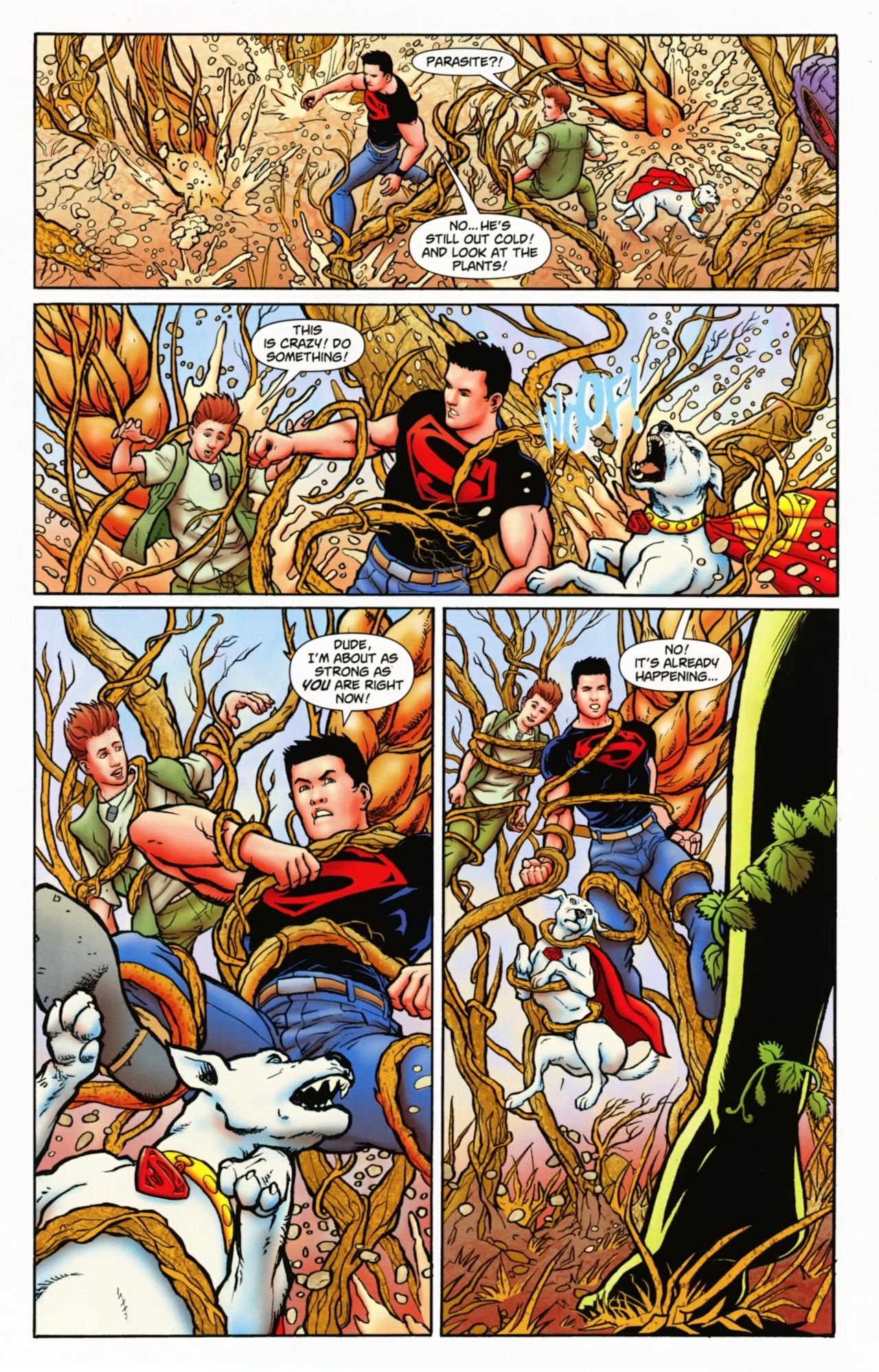 Superboy [I] Issue #1 #1 - English 30