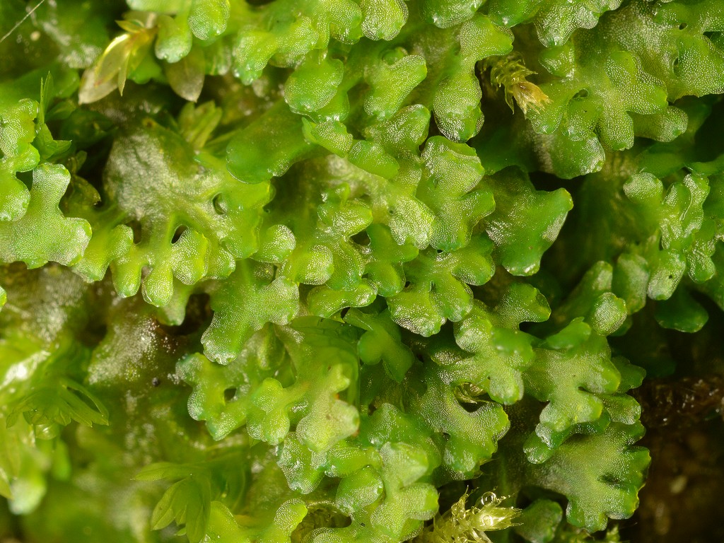 そよ風のなかで Part2