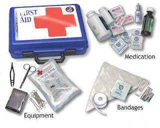 Natural Health: Make Your Own First Aid Kits