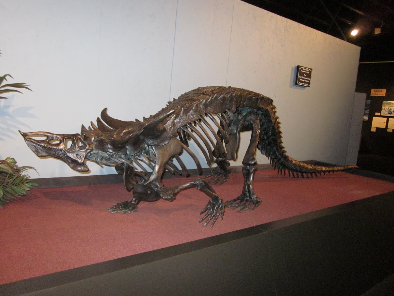 Chicago to Phoenix: Dino Museum - Random Fossils