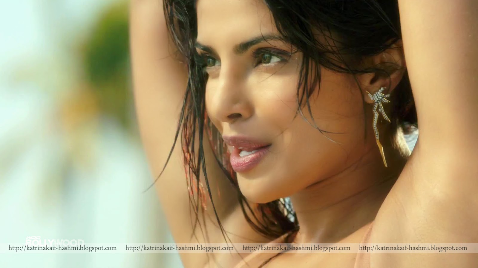 Hot Pics Of Priyanka Chopra In Bikini Priyanka Chopra Bikini Collections