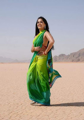 Anushka Shetty Exclusive Green Saree Stills Gallery
