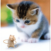 Gambar Animasi PP BBM Gambar PP DP BBM Gambar Animasi PP BBM Gambar PP DP BBM