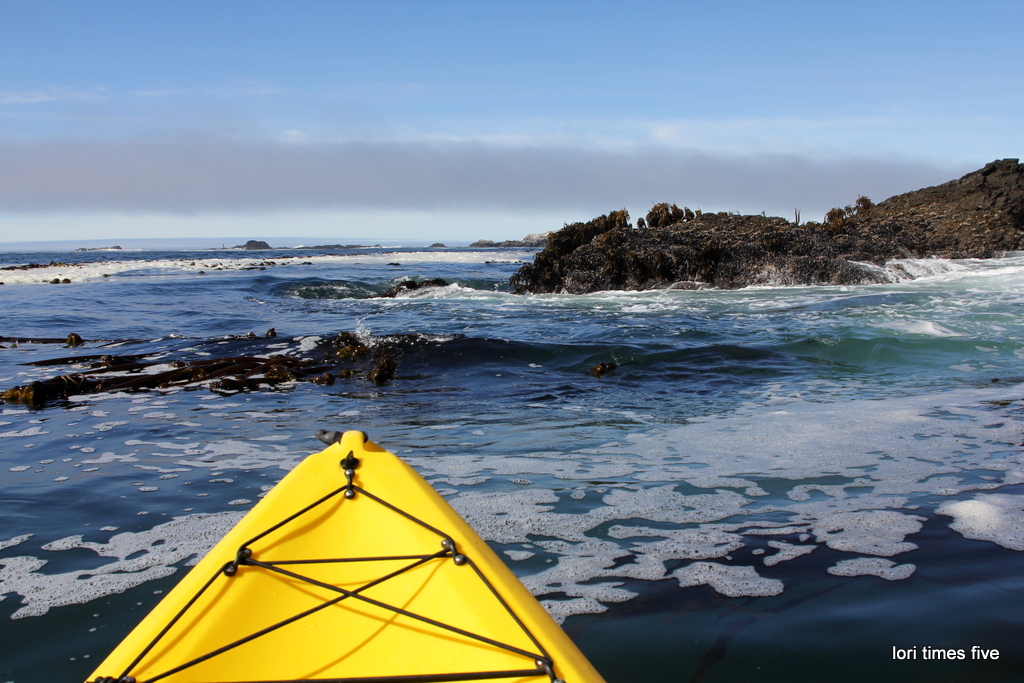 lori times five kayak mendocino